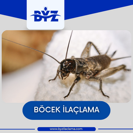 Böcek ilaçlama