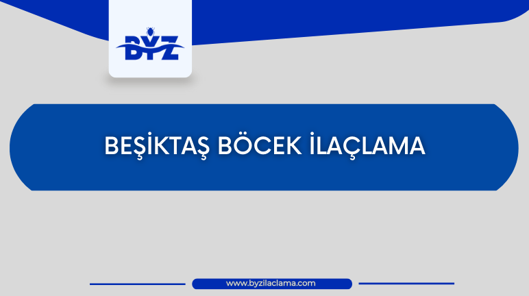 Beşiktaş Böcek İlaçlama