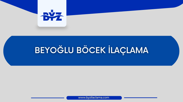 Beyoğlu Böcek İlaçlama