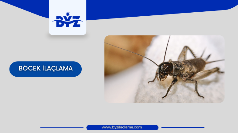 Böcek İlaçlama Hizmeti