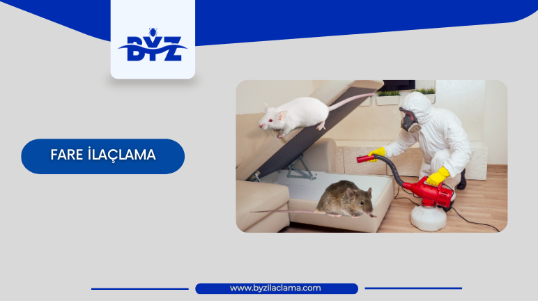Fare İlaçlama Hizmeti