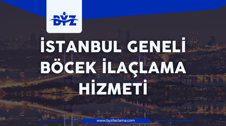 İstanbul Böcek İlaçlama Hizmetleriyle Evlerinizi Haşerelerden Koruyun